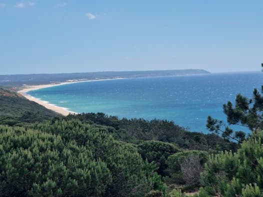 Aroeira